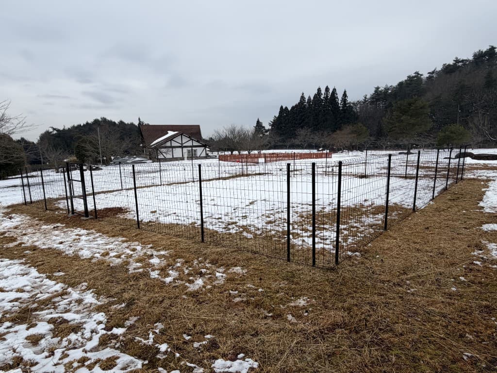 雪が残るドッグラン周辺の眺望。建物と林が広がるパノラマ
