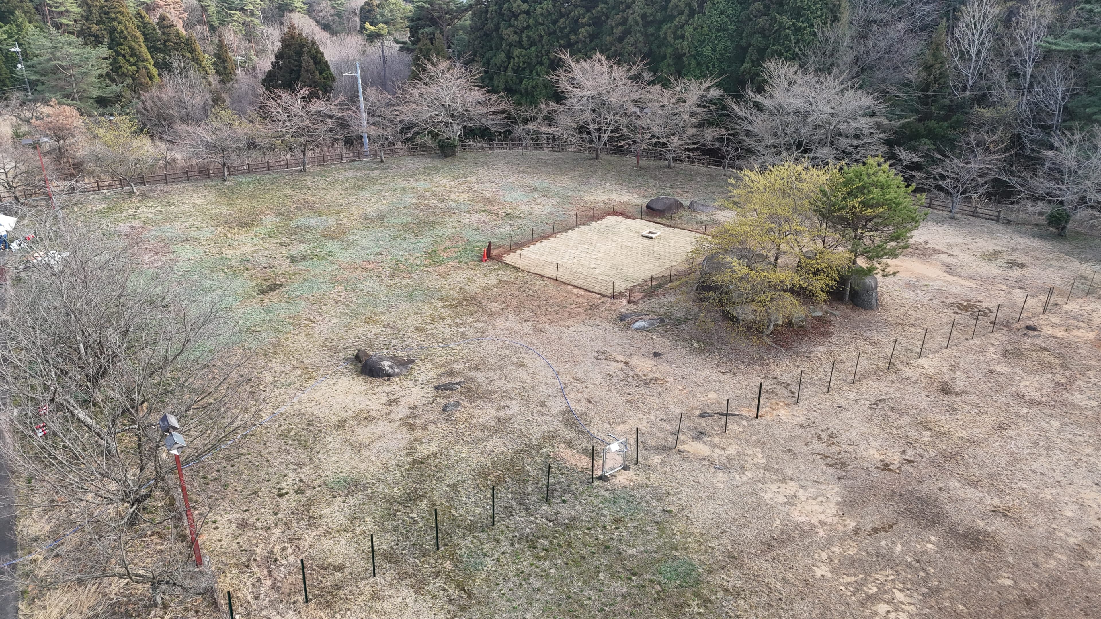 ドッグラン パノラマ