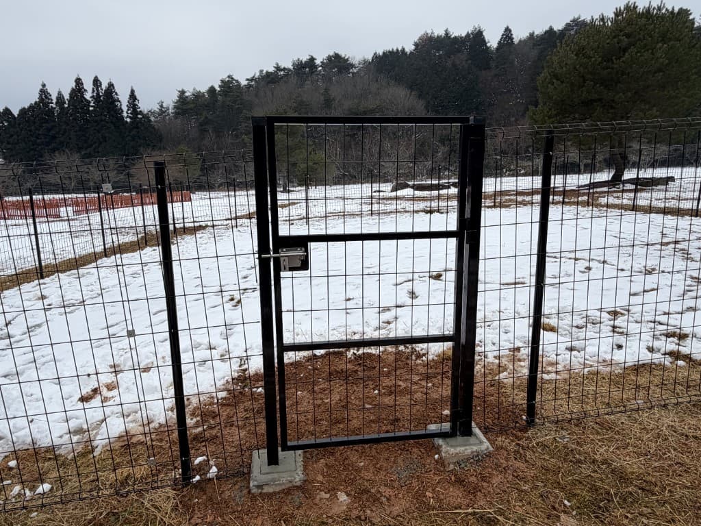 ドッグランサイトB・C。金網フェンスのゲートとラッチ、雪の広場と森を背景にした入口