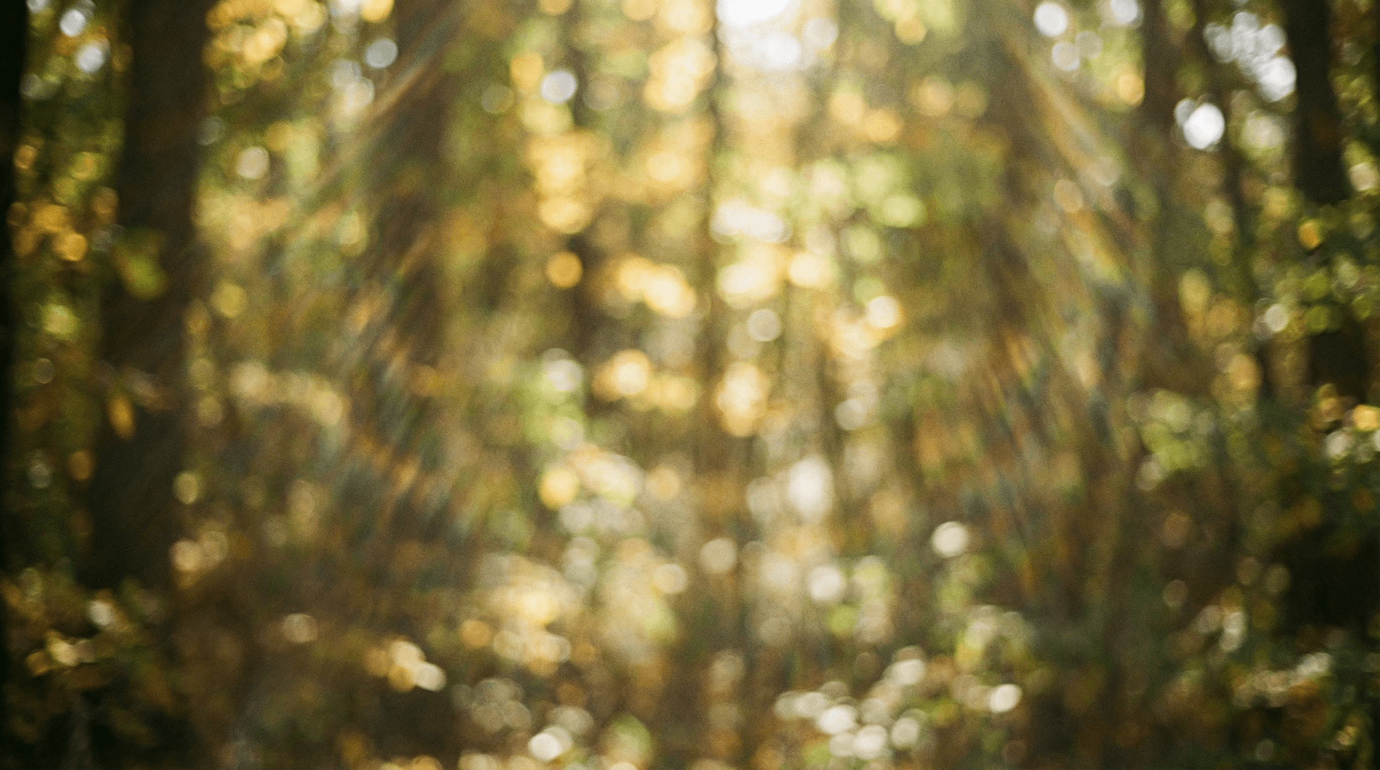 個人情報保護方針 メインビジュアル