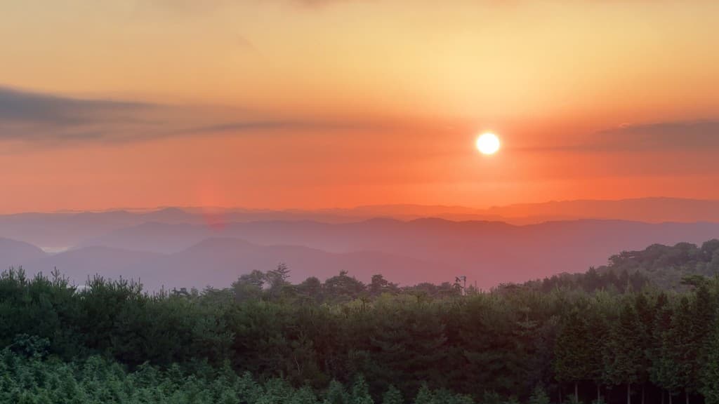 軽飲食・周辺観光