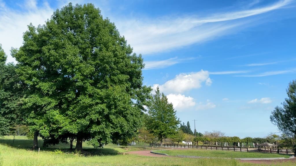 施設概要・アクセス メインビジュアル